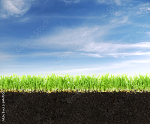 Photo: Cross-section of land with soil,grass and blue sky. Cross-section of land with soil,grass and blue sky.