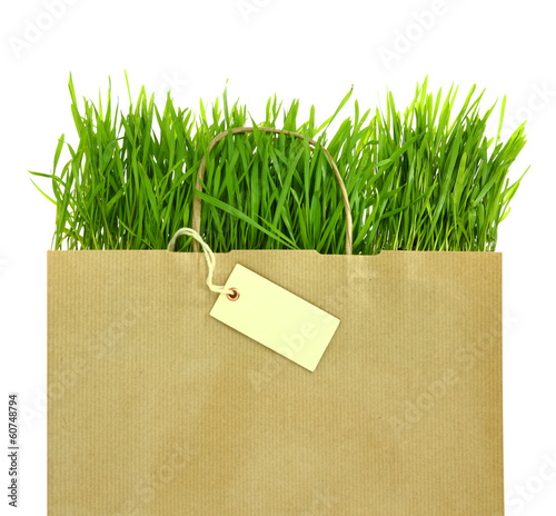 Photo: Recycled grocery bag with full of fresh green grass Recycled grocery bag with full of fresh green grass