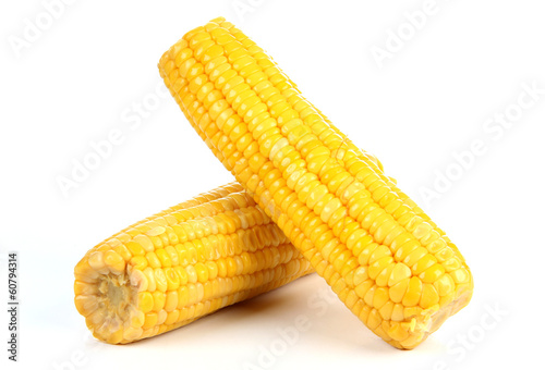 Photo: Corn cob Corn cob