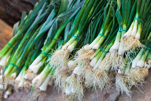 Photo: green onions green onions
