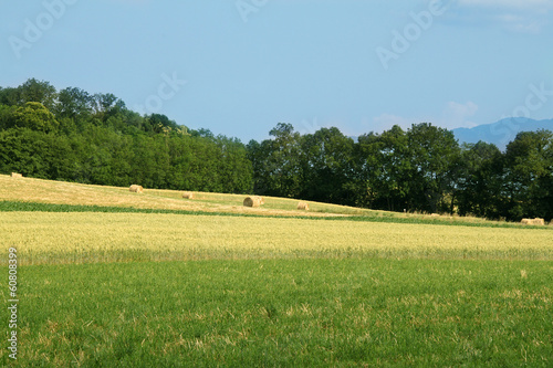 Photo: paysage paysage