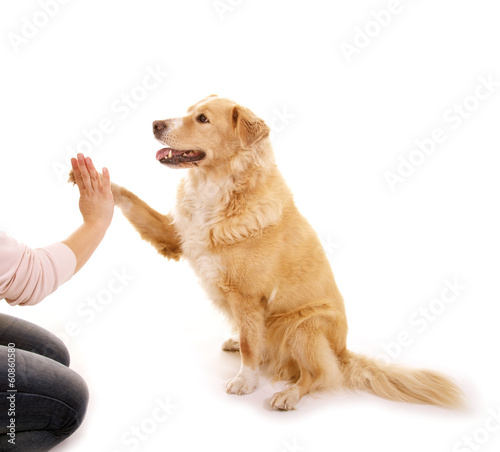 Photo: Hundeerziehung: Give me 5 Hundeerziehung: Give me 5