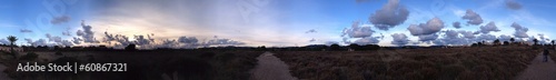 Instant Collection: les salins de hyeres les palmiers les salins de hyeres les palmiers