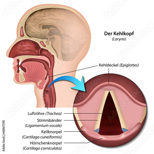 Es tut die Lende diklofenak die Salbe weh
