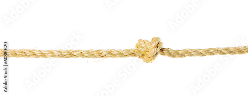 Photo: The rope The rope