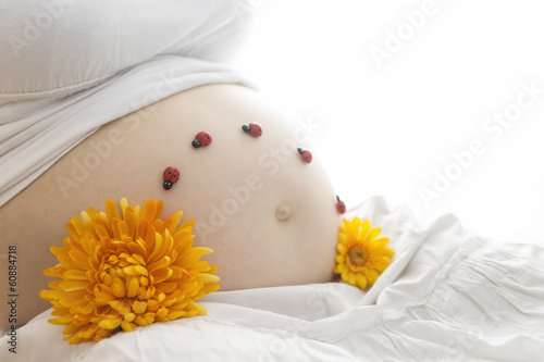 Photo: Babybauch mit Marienkäfern und Blumen Babybauch mit Marienkäfern und Blumen