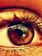 macro shot of a female eye macro shot of a female eye
