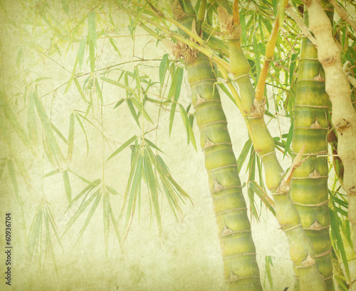 Photo: bamboo on old grunge paper texture background bamboo on old grunge paper texture background