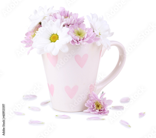Photo: Beautiful chrysanthemum flowers in cup isolated on white Beautiful chrysanthemum flowers in cup isolated on white