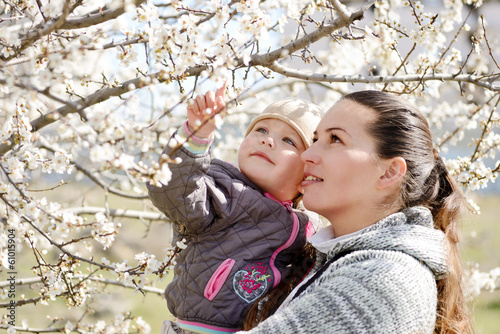 Photo: spring spring