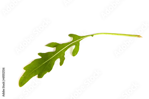 Photo: Arugula/rucola fresh heap leaf on white Arugula/rucola fresh heap leaf on white
