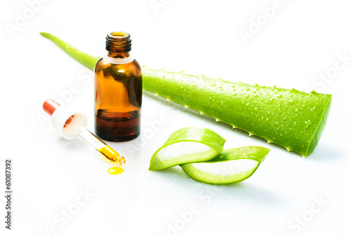Photo: aloe vera aloe vera