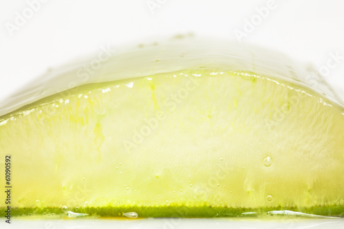 Photo: Macro of aloe vera slice Macro of aloe vera slice