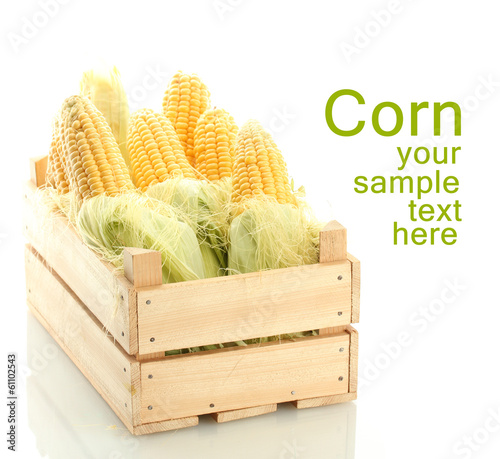Photo: Fresh corn in wooden box, isolated on white Fresh corn in wooden box, isolated on white