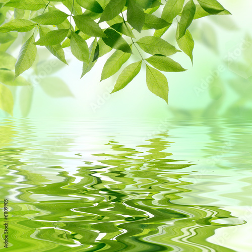 Photo: spa Background spa Background