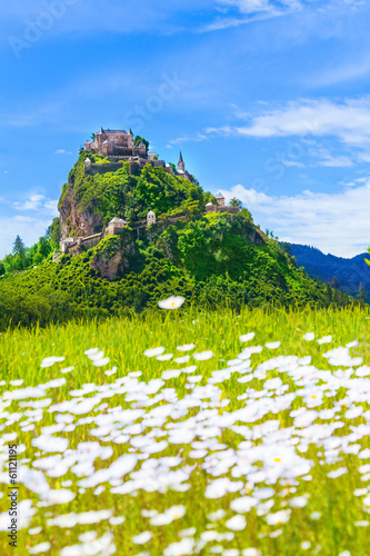 Photo: Hochosterwitz castle and chamomile field Hochosterwitz castle and chamomile field
