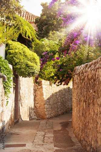 Photo: Mediterranean street with flowers and trees Mediterranean street with flowers and trees