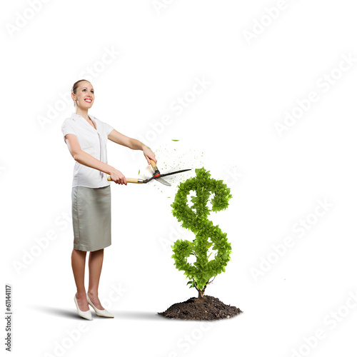Photo: Income concept Income concept