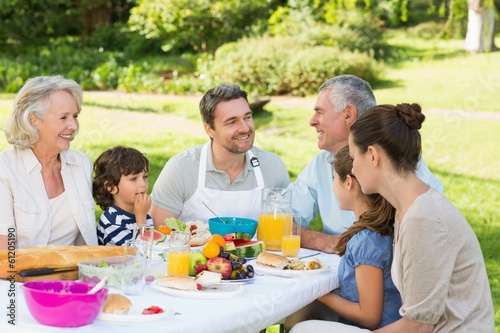 Photo: Extended family having lunch in the lawn Extended family having lunch in the lawn