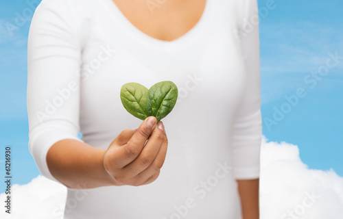 Photo: closeup woman hand with green sprout closeup woman hand with green sprout
