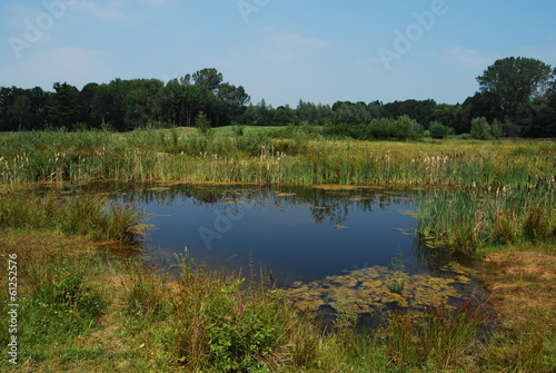 Photo: vennetje in natuurgebied vennetje in natuurgebied