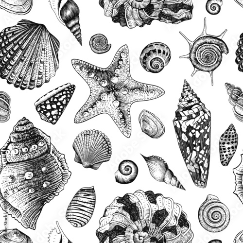 Vector seamless vintage pattern with black and white seashells