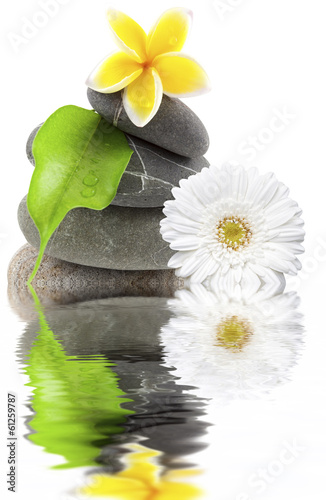 Photo: composition nature relax, galets, fleurs, feuille composition nature relax, galets, fleurs, feuille