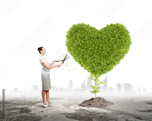 Photo: Greenery concept Greenery concept