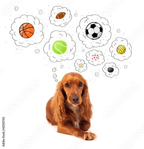 Photo: Cute dog with balls in thought bubbles Cute dog with balls in thought bubbles