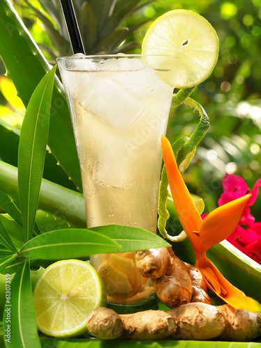 Photo: Ingwer - Cocktail Ingwer - Cocktail