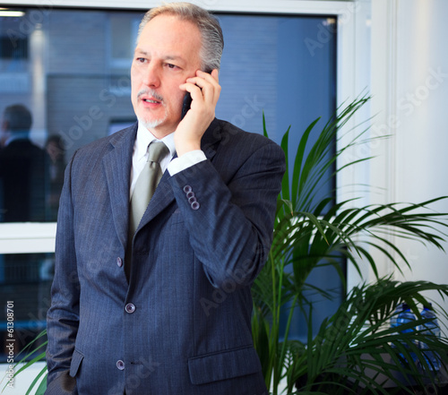 Photo: Businessman at work Businessman at work