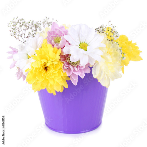 Photo: Beautiful chrysanthemum flowers in bucket isolated on white Beautiful chrysanthemum flowers in bucket isolated on white