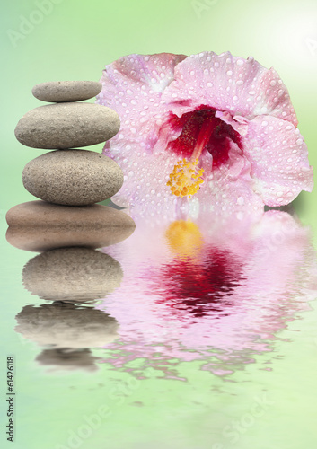 Photo: hibiscus et galets hibiscus et galets