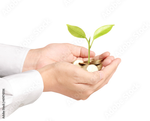 Photo: Businessman holding plant sprouting from handful of coins Businessman holding plant sprouting from handful of coins