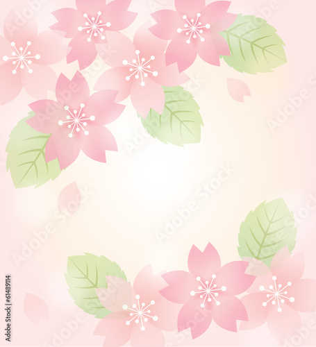 Illustration: 桜 桜