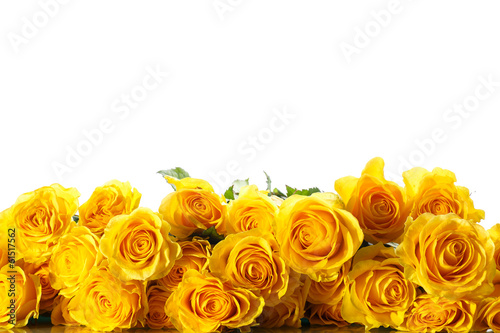 Photo: yellow roses yellow roses