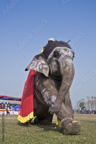 Photo: Beauty contest - Elephant festival, Chitwan 2013, Nepal Beauty contest - Elephant festival, Chitwan 2013, Nepal