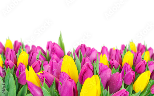 Photo: Beautiful bouquet of tulips. Beautiful bouquet of tulips.