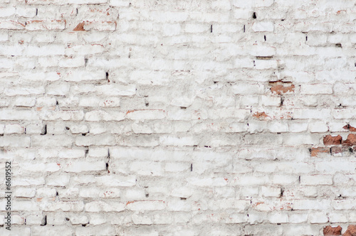 Photo: White bricks White bricks