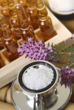 11 pflanzen zum abnehmen
