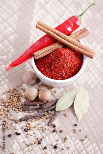 Photo: tandoori masala tandoori masala