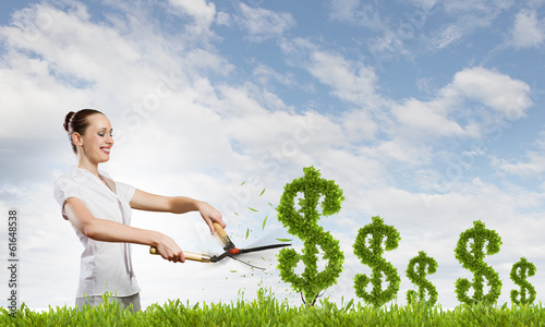 Photo: Income concept Income concept