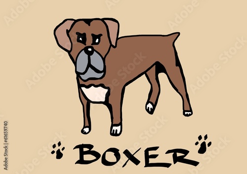 Illustration: Boxer Boxer