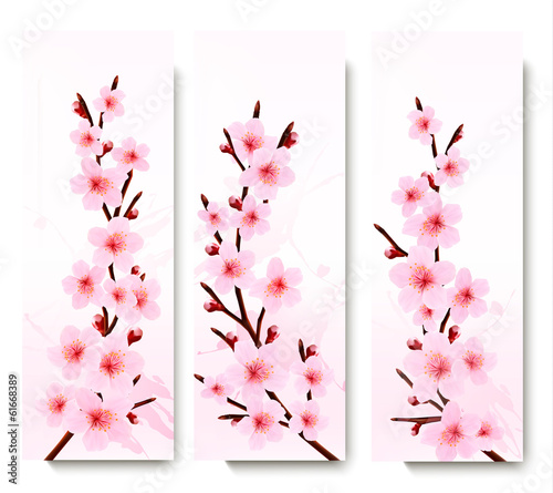 Vector: Three spring banners with blossoming sakura branches. Vector ill Three spring banners with blossoming sakura branches. Vector ill