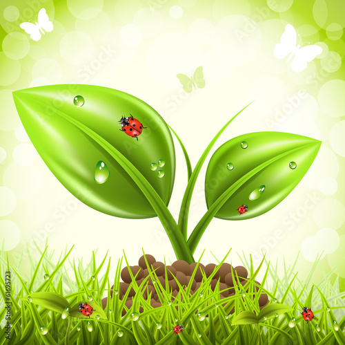 Vector: Landscape Landscape