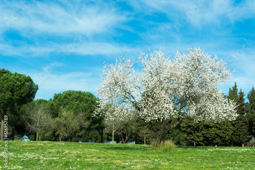 Photo: 50 50