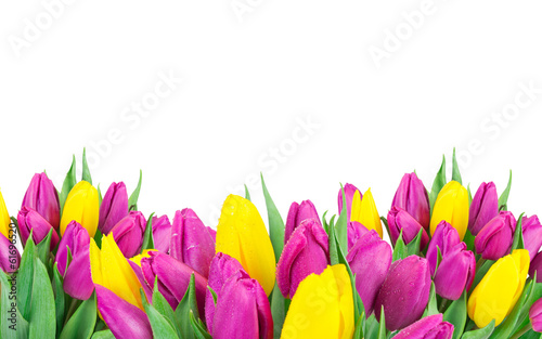 Photo: Beautiful bouquet of flowers. Beautiful bouquet of flowers.