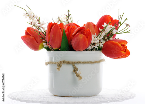 Photo: red tulips red tulips