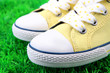 Beautiful gumshoes on green grass background Beautiful gumshoes on green grass background