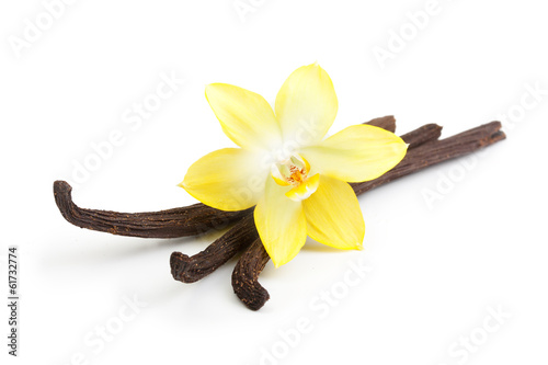  Vanilla pods and orchid flower isolated on white background